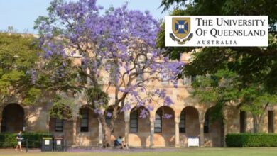 The University of Queensland QCVRN PhD Top-up Scholarship in Australia for 2023