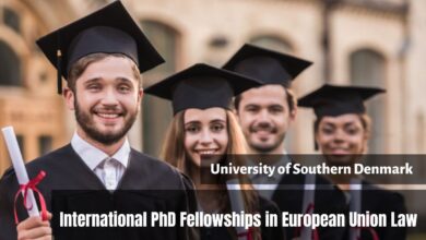 The University of Southern Denmark International Ph.D. Fellowships in European Union Law, Denmark 2023