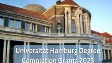 Universität Hamburg Degree Completion Grants for International Students in Germany for 2023