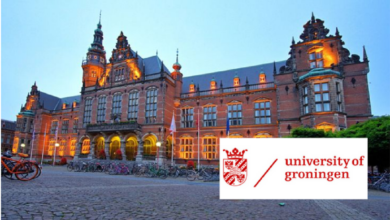 University of Groningen Eric Bleumink Scholarships in the Netherlands for 2023