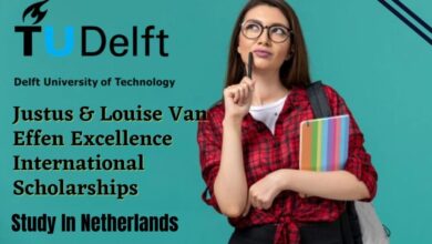 Delft University of Technology Justus & Louise van Effen Excellence Scholarships, Netherlands 2024