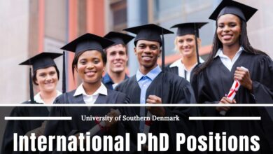 The University of Southern Denmark International Ph.D. Positions at the Intersection of Business Administration and Computer Science, Denmark 2024