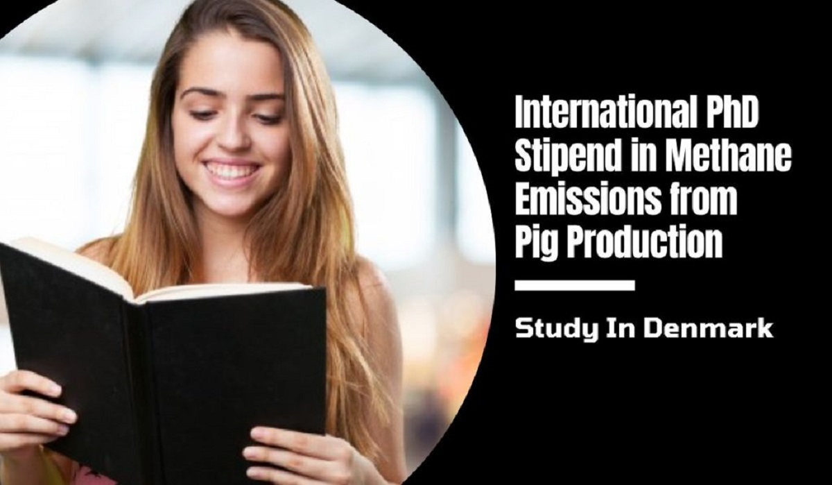 Aalborg University International PhD Stipend in Methane Emissions from Pig Production, Denmark 2023