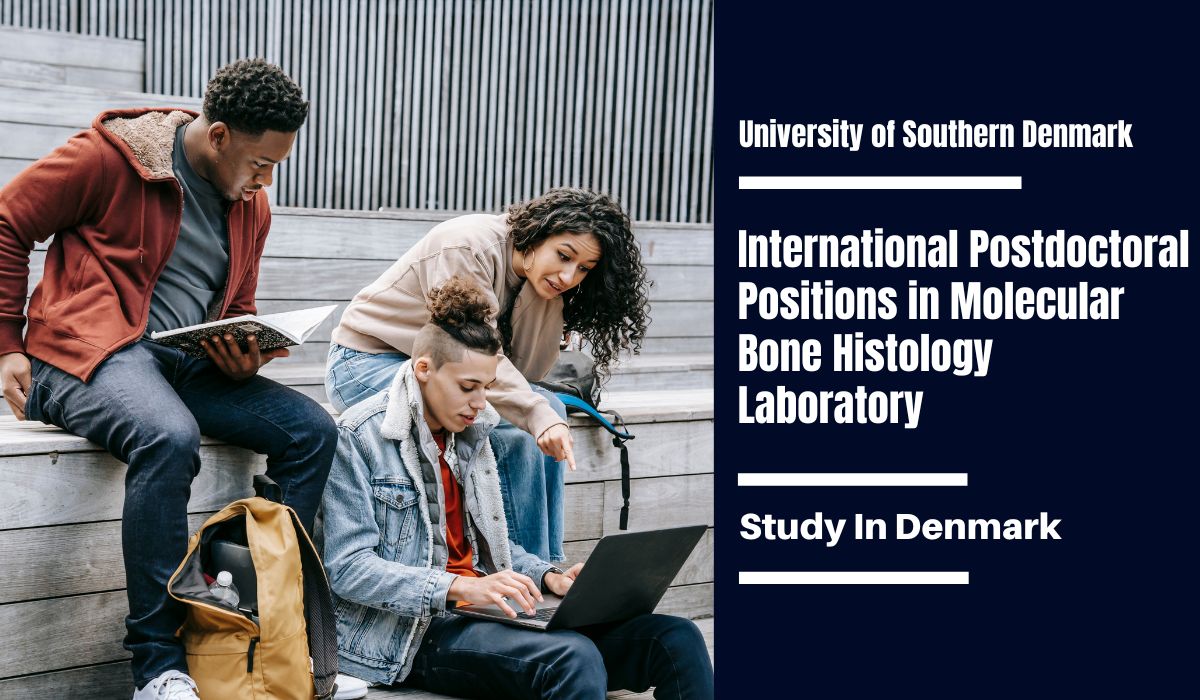 International Postdoctoral Positions in Molecular Bone Histology Laboratory, Denmark for Fellowship at University of Southern Denmark 2023