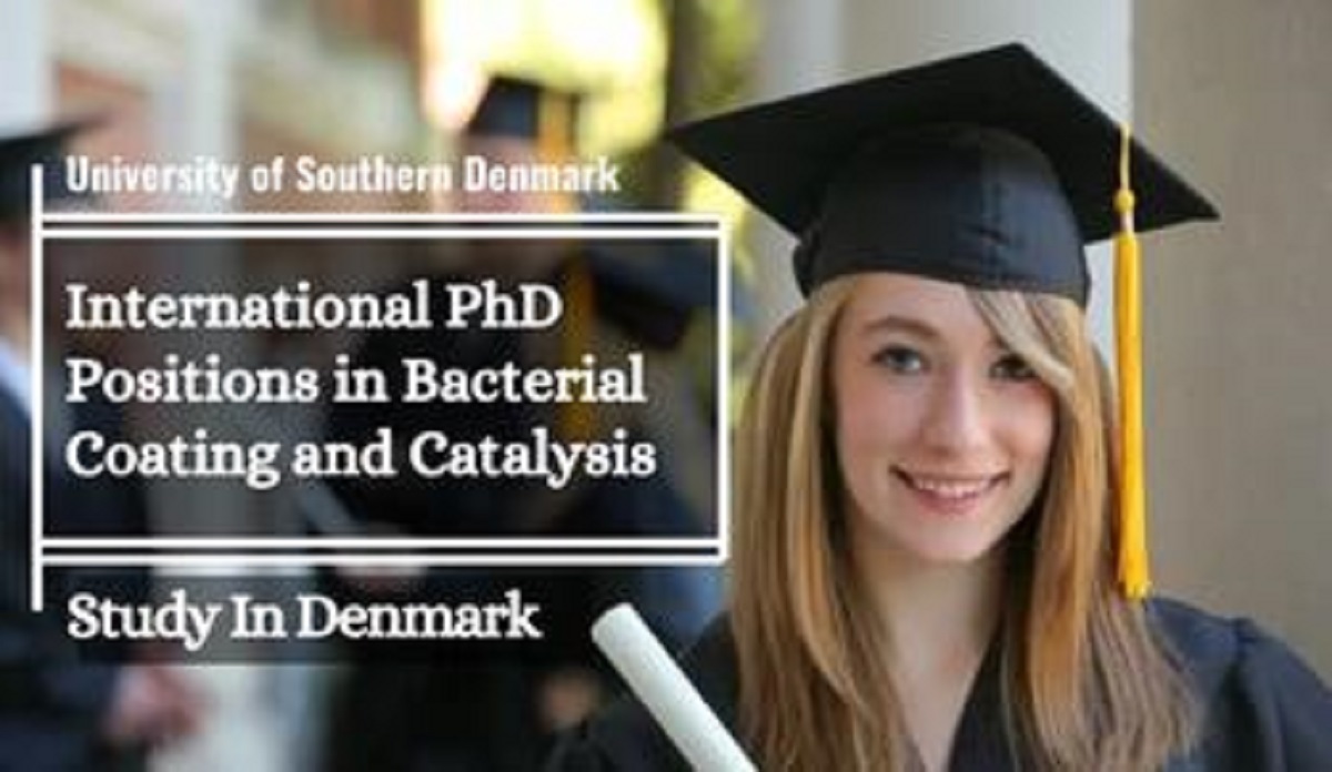 University of Southern Denmark International PhD Positions in Bacterial Coating and Catalysis, Denmark 2023