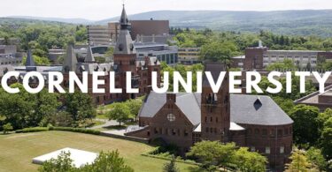 Cornell University STAARS Individual Research Proposal Call, USA 2024