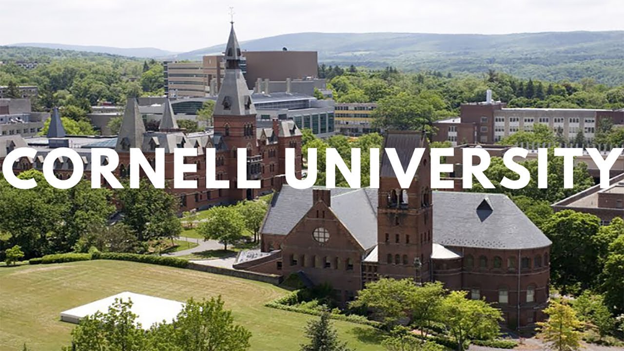 Cornell University STAARS Individual Research Proposal Call, USA 2024