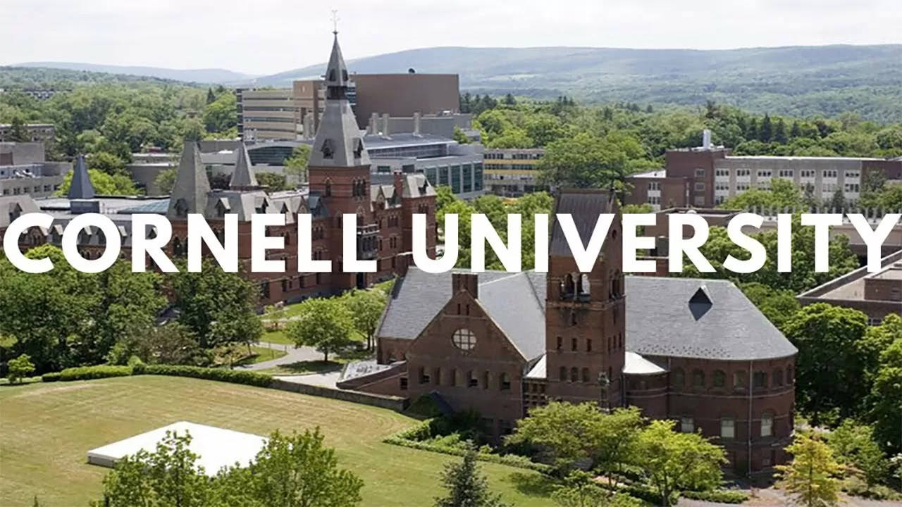 Cornell University STAARS Individual Research Proposal Call, USA 2024