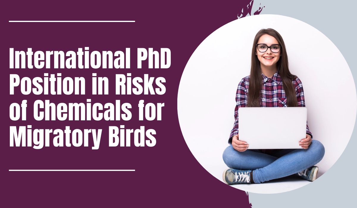 Fully Funded International PhD Position in Risks of Chemicals for Migratory Birds at Wageningen University & Research, Netherlands 2024