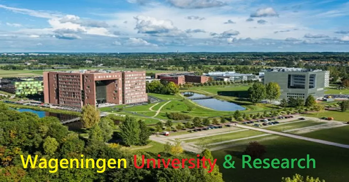 Wageningen University & Research International PhD Position in Unravelling Plasma Membrane Structure in Response to Environmental Stimuli, Netherlands 2024