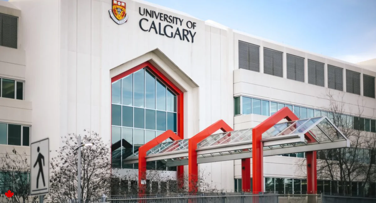 University of Calgary Undergraduate Scholarships