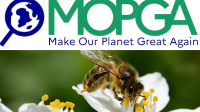 Funded Make Our Planet Great Again (MOPGA)