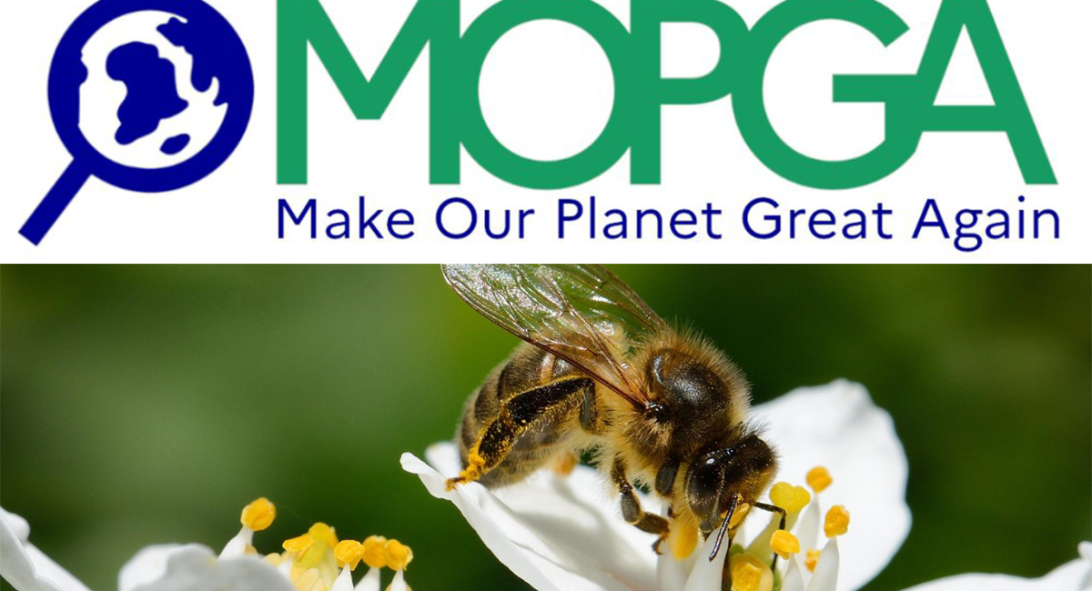 Funded Make Our Planet Great Again (MOPGA)