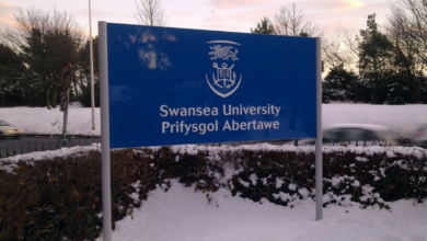 Swansea University UK