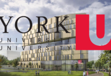 York University