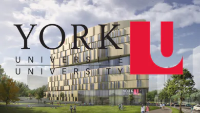 York University