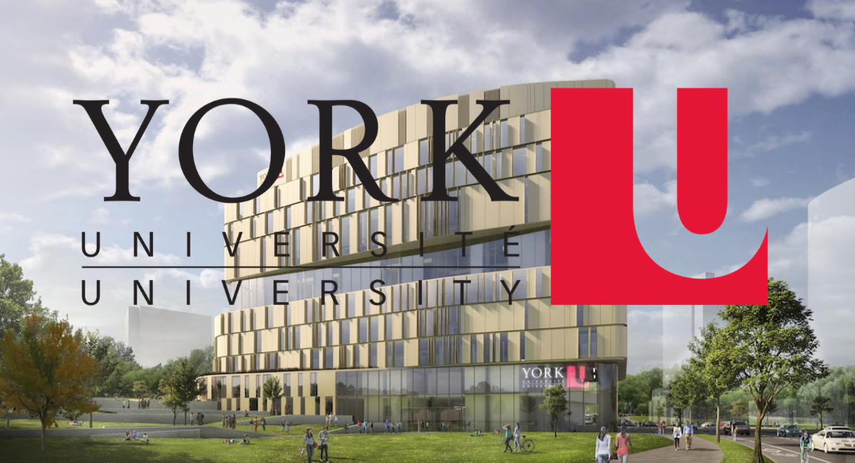 York University